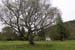 20120504_glendalough_park06