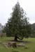 20120504_glendalough_park07