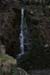 20120504_glendalough_park08