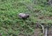 20120504_glendalough_poulanassalley