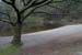 20120504_glendalough_upperlake7
