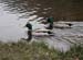 20120504_glendalough_upperlake8