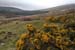 20120504_glendalough_valley2