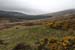 20120504_glendalough_valley3