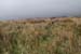 20120504_glendalough_valley5