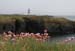 20120504_hookheadlighhouse02