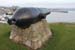 20120504_wicklowharborhead2