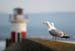 20120504_wicklowpier2