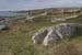 20120505_cashlabayinfromtonacrickhead02