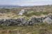 20120505_cashlabayinfromtonacrickhead03