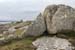 20120505_cashlabayinfromtonacrickhead04