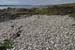 20120505_cashlabayinfromtonacrickhead08
