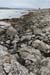20120505_cashlabayinfromtonacrickhead09