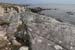20120505_cashlabayoutfromtonacrickhead01