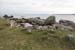 20120505_cashlabayoutfromtonacrickhead03
