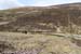 20120505_glentaunemongapfromsugarloafhillslopes1