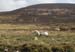 20120505_knockmealdownmountainsfromw2