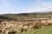 20120505_owennashadrivervalley