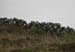 20120505_rossaveelhillstonewalls06