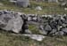 20120505_rossaveelhillstonewalls11
