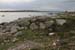 20120505_rossaveelmartellotowerfromsse1
