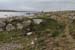 20120505_rossaveelmartellotowerfromsse2