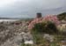 20120505_rossaveelmartellotowerfromsse5
