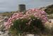 20120505_rossaveelmartellotowerfromsse6