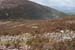 20120505_sugarloafhillnwslopes4