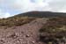 20120505_sugarloafhillpath1