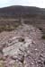 20120505_sugarloafhillpath2