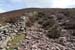 20120505_sugarloafhillpath3