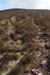 20120505_sugarloafhillpath4