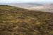 20120505_sugarloafhilltop_westslopes1