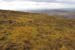 20120505_sugarloafhilltop_westslopes2
