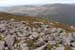 20120505_sugarloafhilltop_westslopes3
