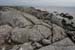 20120505_tonacrickhead01