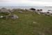 20120505_tonacrickhead03