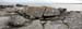 20120505_tonacrickheadpano
