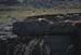 20120506_aranblindsoundcliffedgebirds1
