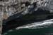 20120506_aranblindsoundcliffface14
