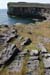 20120506_aranblindsounddah07