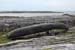 20120506_aranbrannockheadcurragh1
