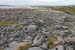 20120506_aranbrannockheadsound6