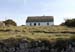20120506_arancowragh4