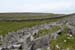 20120506_arandunaonghasafortchevauxdefrise04