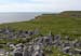 20120506_arandunaonghasafortchevauxdefrise05