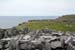 20120506_arandunaonghasafortchevauxdefrise06