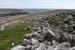 20120506_arandunaonghasafortchevauxdefrise07