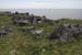 20120506_arandunaonghasafortchevauxdefrise08